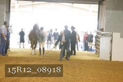 15R12_08918 thumbnail