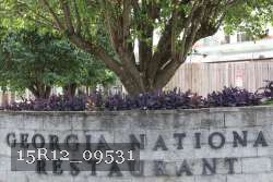 15R12_09531 thumbnail