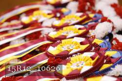 15R12_10626 thumbnail