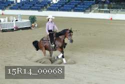 15R14_00068 thumbnail