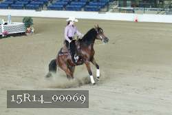 15R14_00069 thumbnail