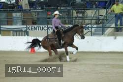 15R14_00071 thumbnail