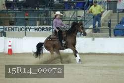 15R14_00072 thumbnail