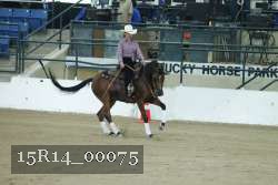 15R14_00075 thumbnail