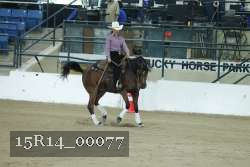 15R14_00077 thumbnail