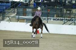 15R14_00078 thumbnail