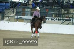 15R14_00079 thumbnail