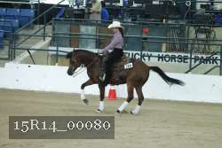 15R14_00080 thumbnail