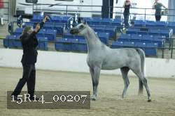 15R14_00207 thumbnail