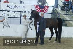 15R14_00311 thumbnail