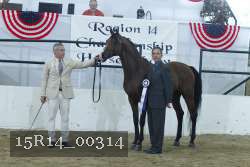 15R14_00314 thumbnail