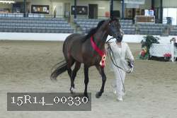 15R14_00330 thumbnail