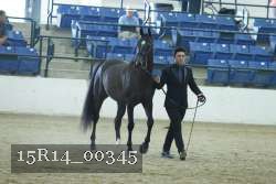 15R14_00345 thumbnail