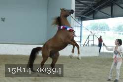 15R14_00394 thumbnail