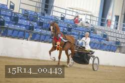 15R14_00443 thumbnail