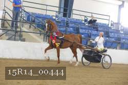 15R14_00444 thumbnail