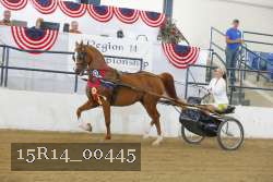 15R14_00445 thumbnail