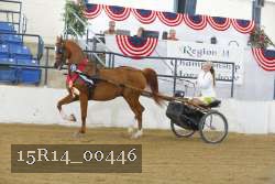 15R14_00446 thumbnail