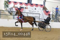 15R14_00448 thumbnail