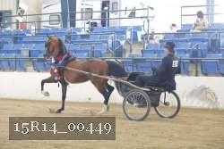 15R14_00449 thumbnail