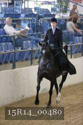 15R14_00480 thumbnail