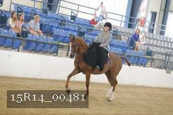 15R14_00481 thumbnail