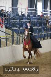 15R14_00485 thumbnail