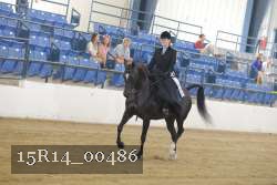 15R14_00486 thumbnail