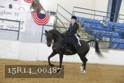 15R14_00487 thumbnail