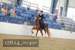 15R14_00490 thumbnail