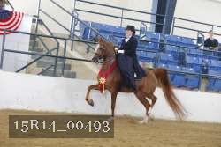 15R14_00493 thumbnail