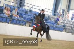 15R14_00498 thumbnail
