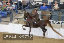 15R14_00770 thumbnail