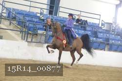 15R14_00877 thumbnail