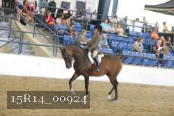 15R14_00924 thumbnail
