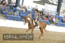 15R14_00936 thumbnail