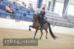 15R14_01086 thumbnail