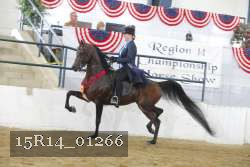 15R14_01266 thumbnail