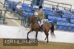 15R14_01400 thumbnail