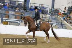 15R14_01572 thumbnail