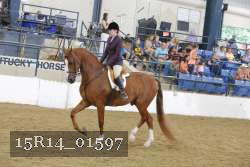 15R14_01597 thumbnail