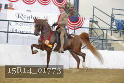 15R14_01773 thumbnail