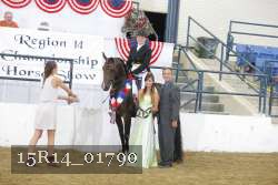 15R14_01790 thumbnail