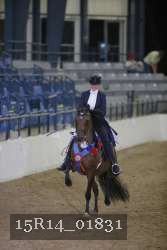15R14_01831 thumbnail