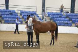 15R14_01937 thumbnail