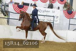 15R14_02106 thumbnail