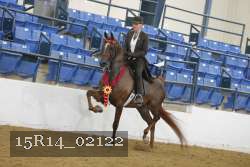 15R14_02122 thumbnail