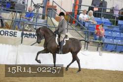 15R14_02257 thumbnail