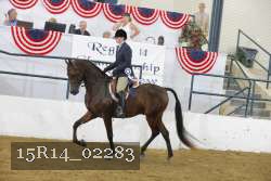 15R14_02283 thumbnail