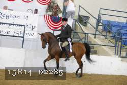 15R14_02285 thumbnail